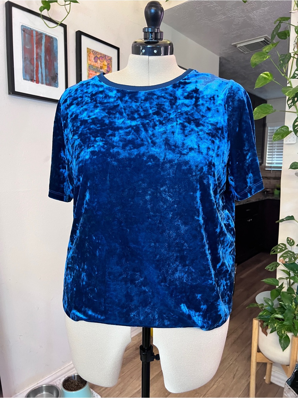 Ava & Viv Royal Blue Crushed Velvet Short Sleeve Tee